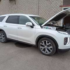 Hyundai Polisade проходит водородную очистку двигателя