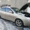 Hyundai  проходит водородную очистку двигателя